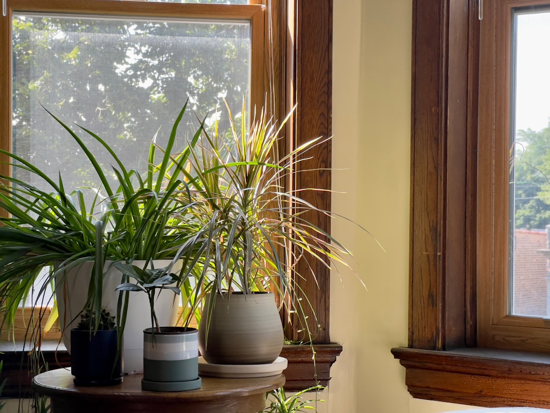 Parapety z litego drewna – naturalny akcent w nowoczesnym budownictwie